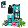 Arôme Bluester DIYSTER 10ml 3520