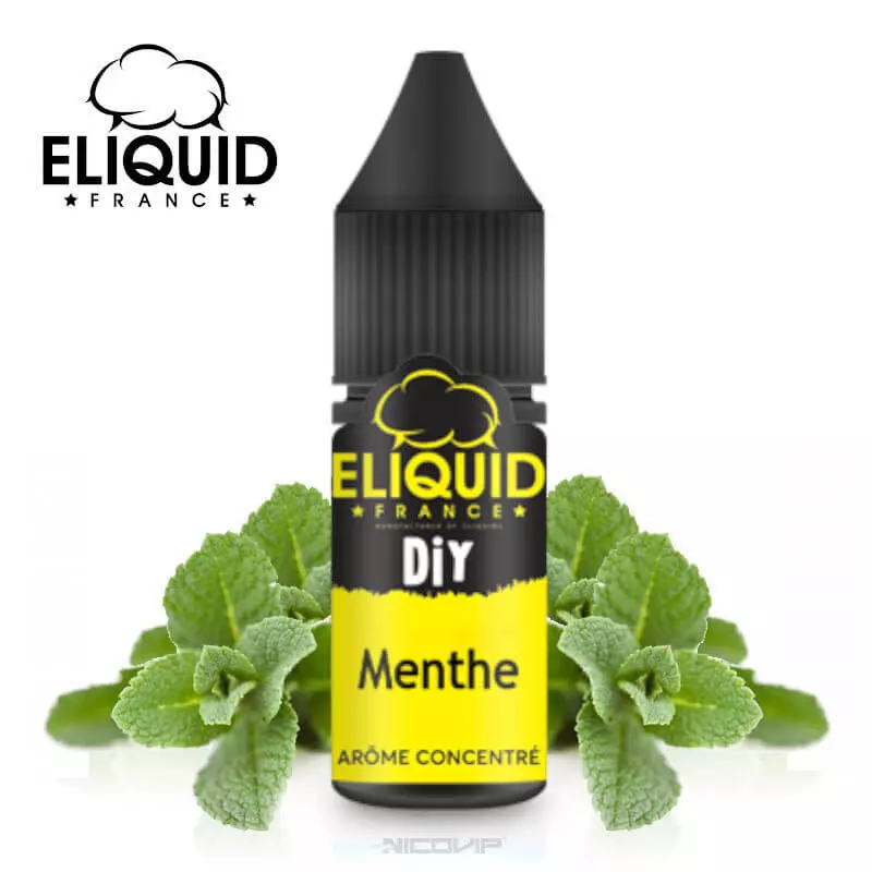Arôme Menthe DIY Eliquid France 10ml 2572