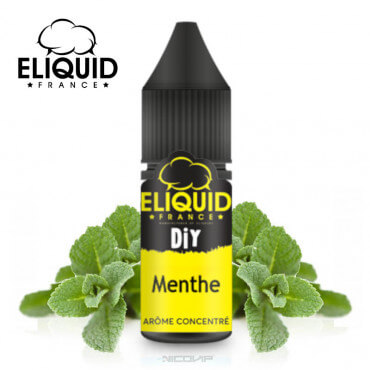 Arôme Menthe DIY Eliquid France Arôme Menthe DIY Eliquid France