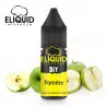 Arôme Pomme DIY Eliquid France 10ml 2589