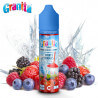 Fruits Rouges Granita 50ml