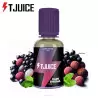 Arôme Dark Enigma T-Juice 30ml 6574 (J 27B)