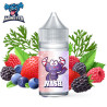 Arôme Nash Monster 30ml 6658