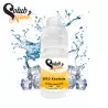 Arôme WS-3 Koolada Solubarome 30ml 7217 (V 25F)