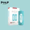2 Recharges Puff Menthe Polaire Le Pod Switch Pulp 7542