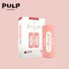 2 Recharges Puff Thé Pêche Le Pod Switch Pulp 7549