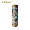 Accu 21700 6000mAh X Power 7862