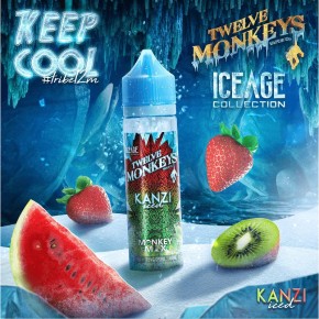 Iced Kanzi Twelve Monkeys 50ml 1862 (J 28B) Iced Kanzi Twelve Monkeys 50ml 1862 (J 28B)