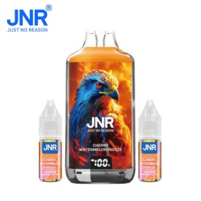 Kit Puff Cherry Watermelon Freeze Falcon X 28000 JNR