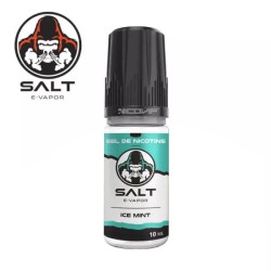 Ice Mint Salt E-Vapor 10ml