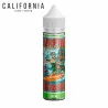 Surfing Paradise California 50ml