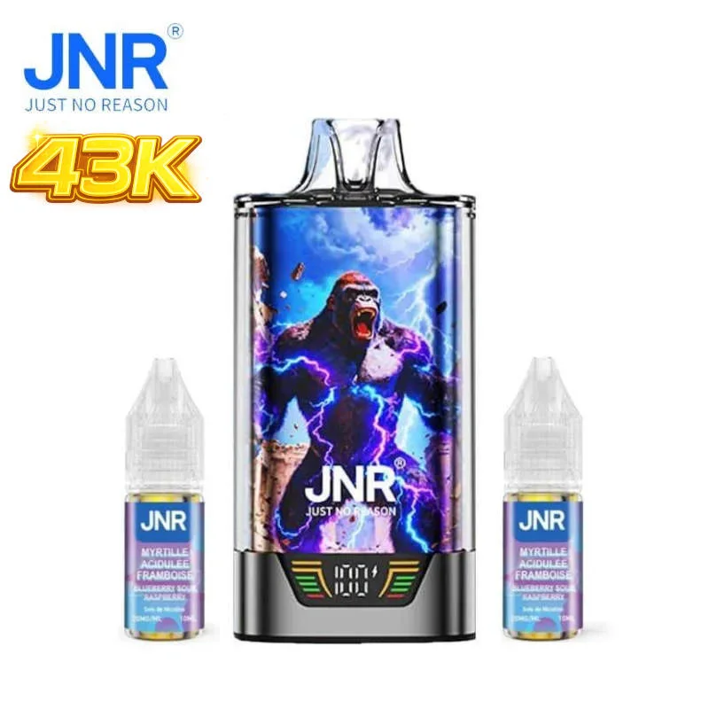 Kit Puff Blueberry Sour Raspberry Gorilla X 43K JNR