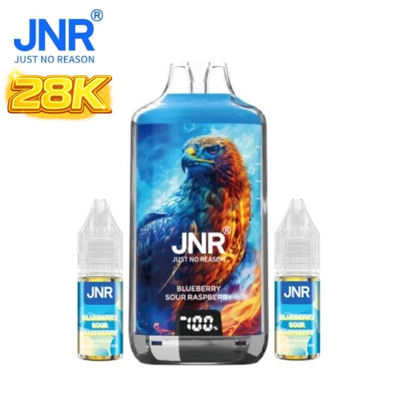 Kit Puff Blueberry Sour Raspberry Falcon X 28000 JNR