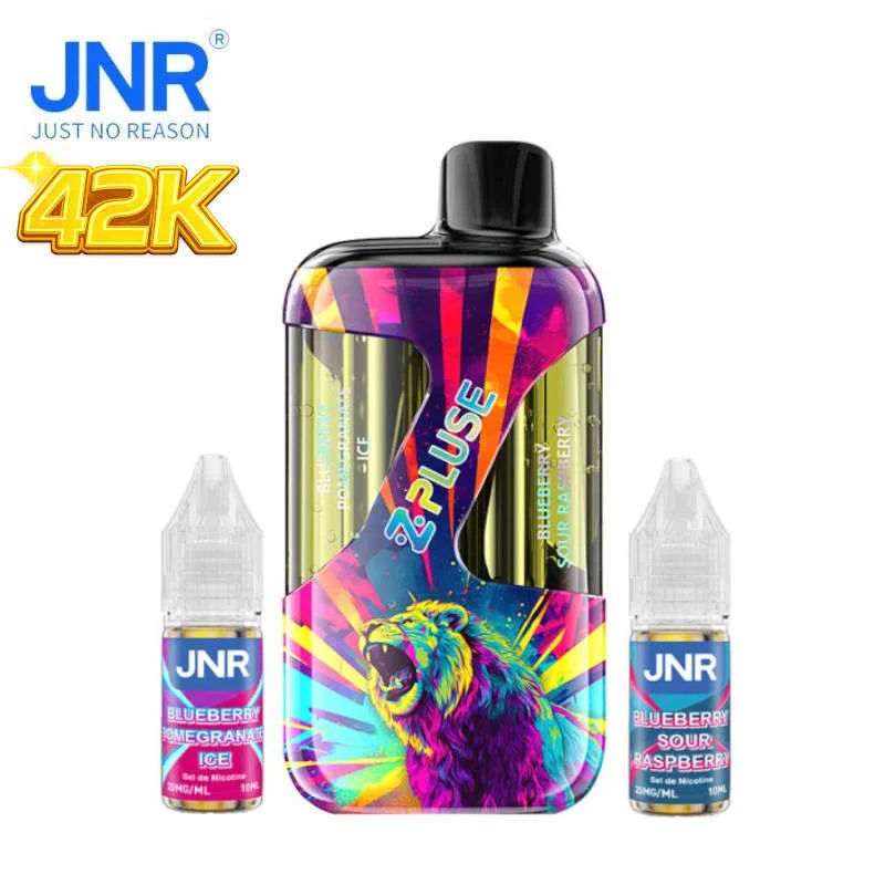 Kit Puff ZPluse Blueberry Pomegranate Ice + Blueberry Sour Raspberry 42k JNR