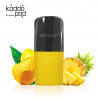 Pack 3 pods Nano Mangue Ananas Le French Liquide