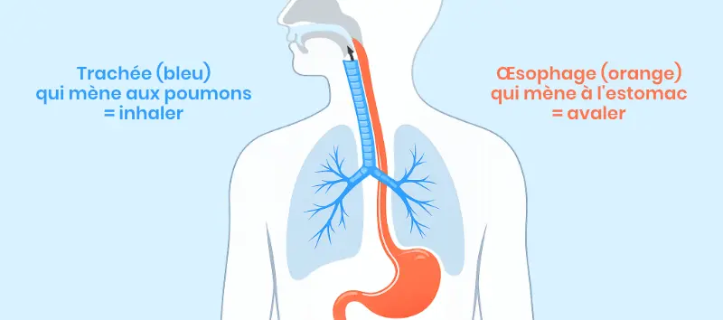 Avaler ou inhaler la vapeur d'une cigarette électronique
