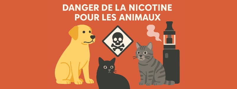Le danger de la nicotine pour les animaux