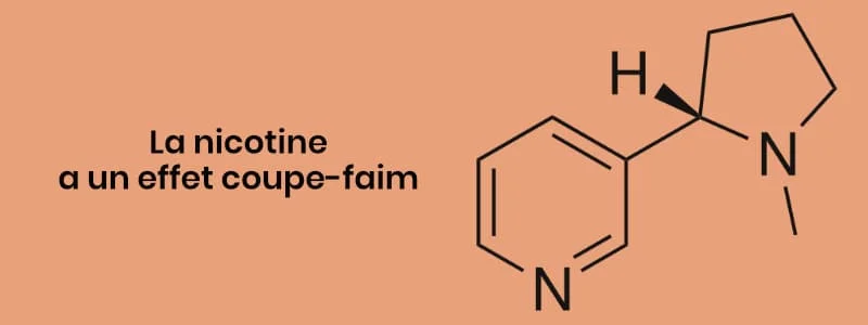 Vapoter a vraiment un effet coupe-faim ?