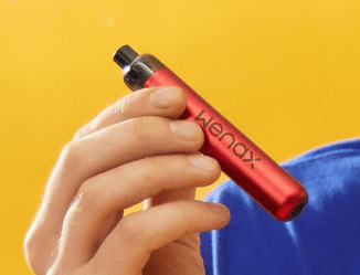 Cigarette électronique pod Wenax Stylus Geek Vape