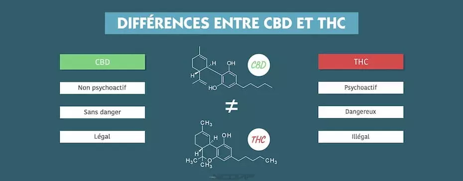 Quelle est la différence entre le CBD et le THC ?