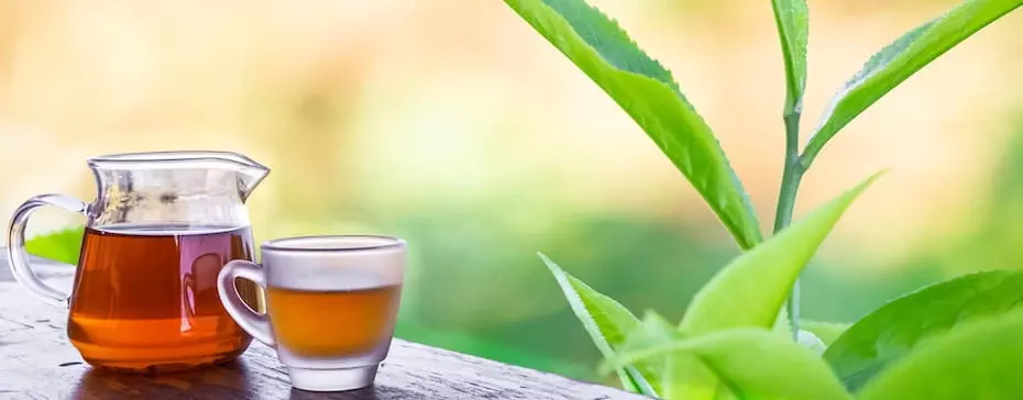 Les bienfaits de la tisane de CBD - Marie Claire