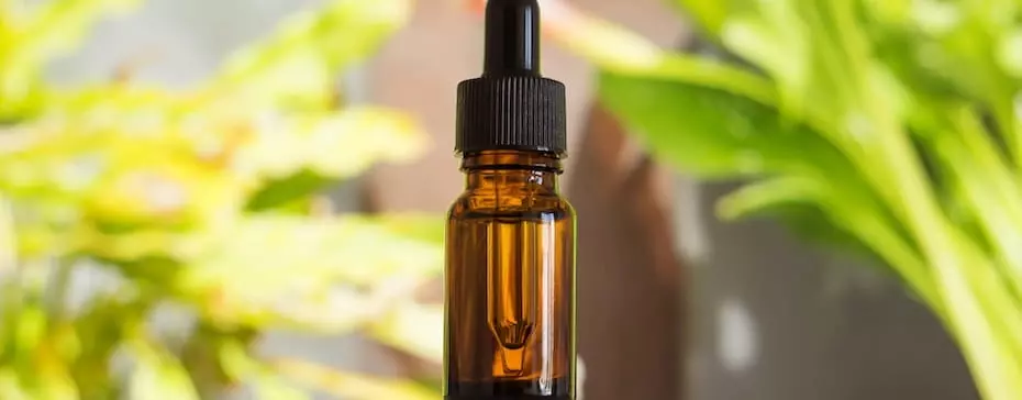 Comment utiliser l’huile de CBD ?