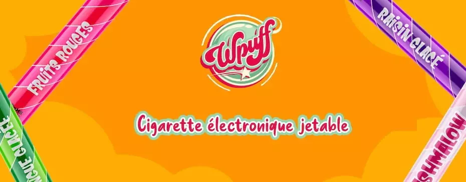 Test Wpuff Liquideo : que vaut cette CE jetable puff ?