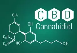 Danger du CBD - Le CBD est-il dangereux ?