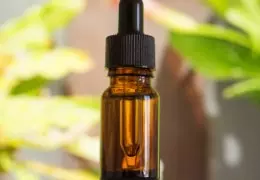 Comment utiliser l’huile de CBD ?