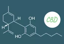 Quelle est la différence entre le CBD et le THC ?